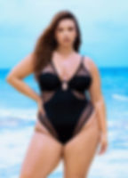Black Mesh One Piece Swimsuit Mapale exquisite fancy fashionable flattering glamorous good quality high end cut out swimsuits
