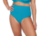 RHAPSODY TEAL RENOIR HIGH WAIST SWIM PANT Plus Size High Waisted Bikini Bottoms Artesands