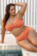 Copper Monet Soft Cup Underwire Bikini Cheetah Print Bikini Top Plus Size Artesands designer swimsuits on sale tummy control