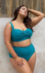 TEAL RHAPSODY RENOIR HIGH WAIST SWIM PANT Plus Size High Waisted Bikini Bottoms Artesands