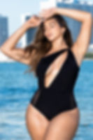 mapale mesh cut out swimsuit